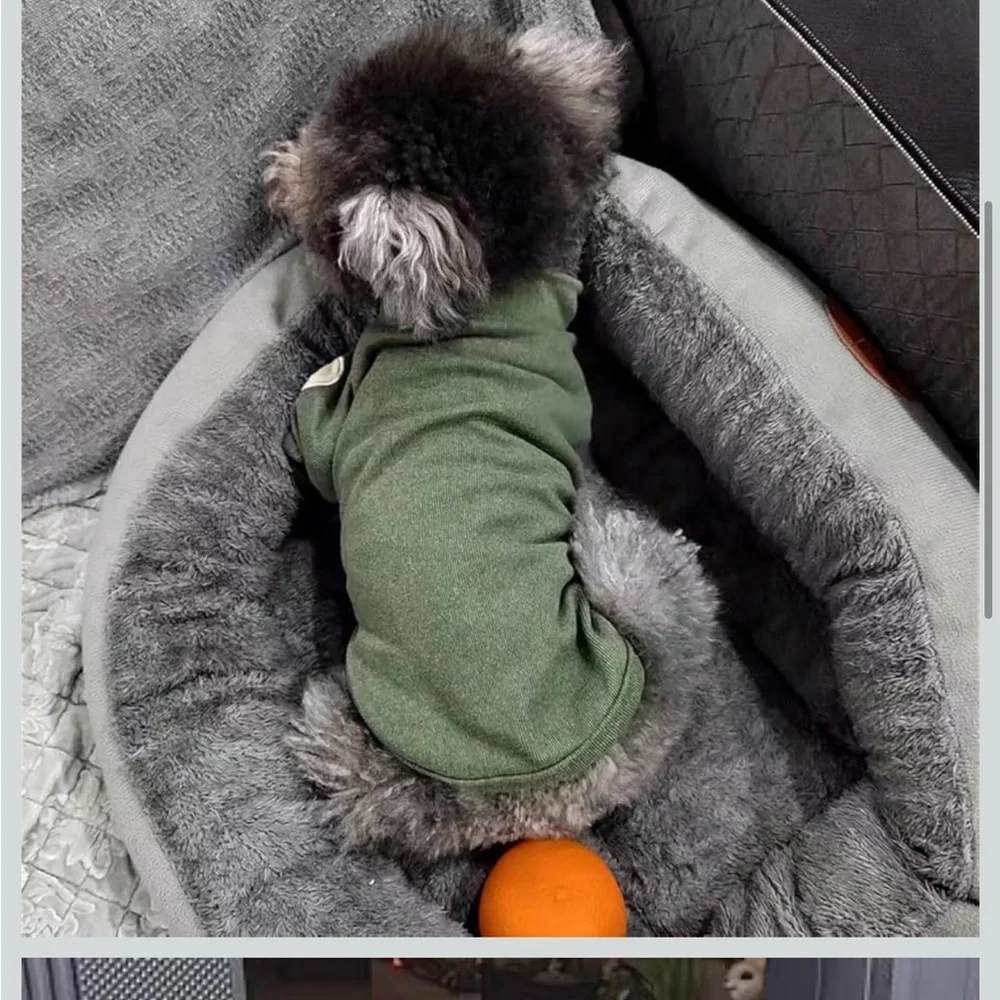 Amazon Small/XS Dog or Cat Green Sweater with Heart Elbow Pads NWT
